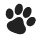 dog icon